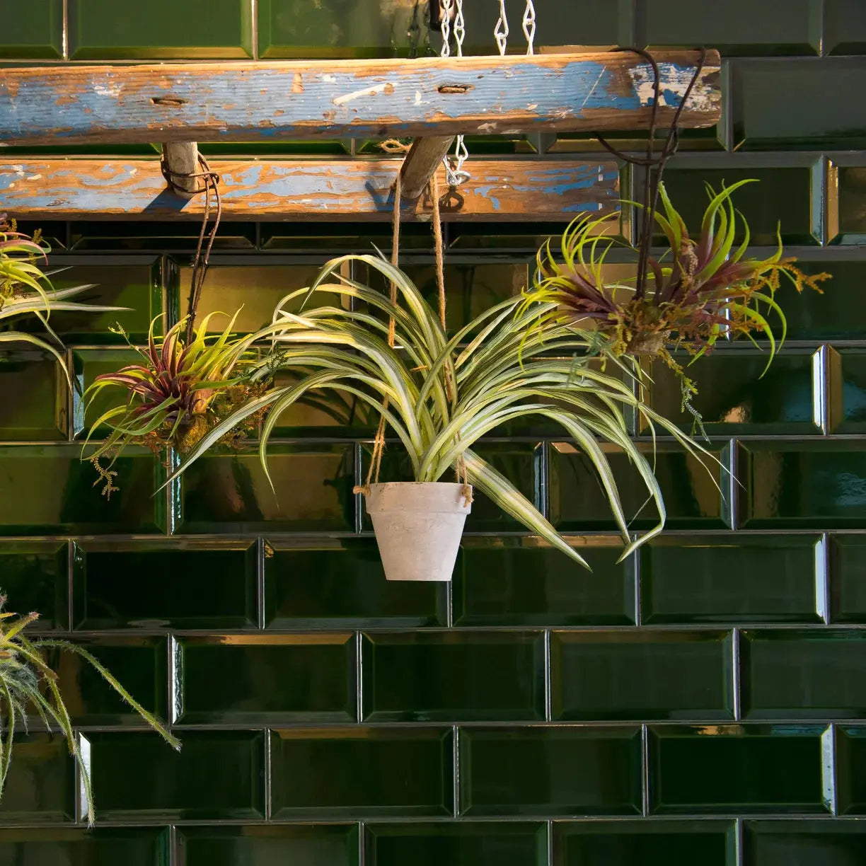 Green Tiles