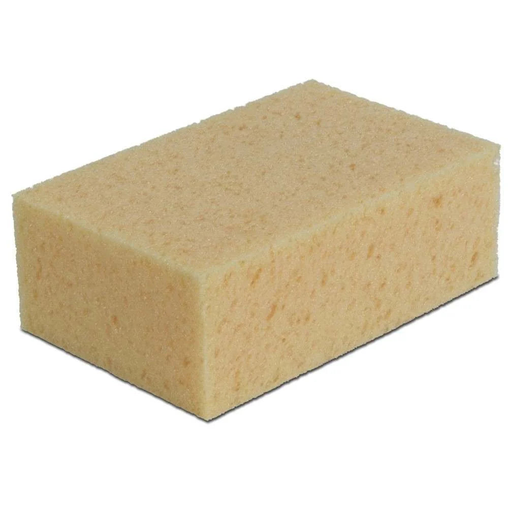 Sponges