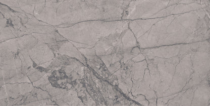 Veins Grey Matt Marble Effect  600x600mm Tile