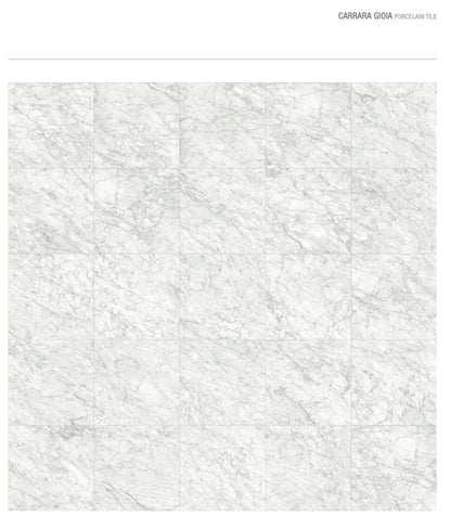 Carrara Gioia Rectified Honed Porcelain