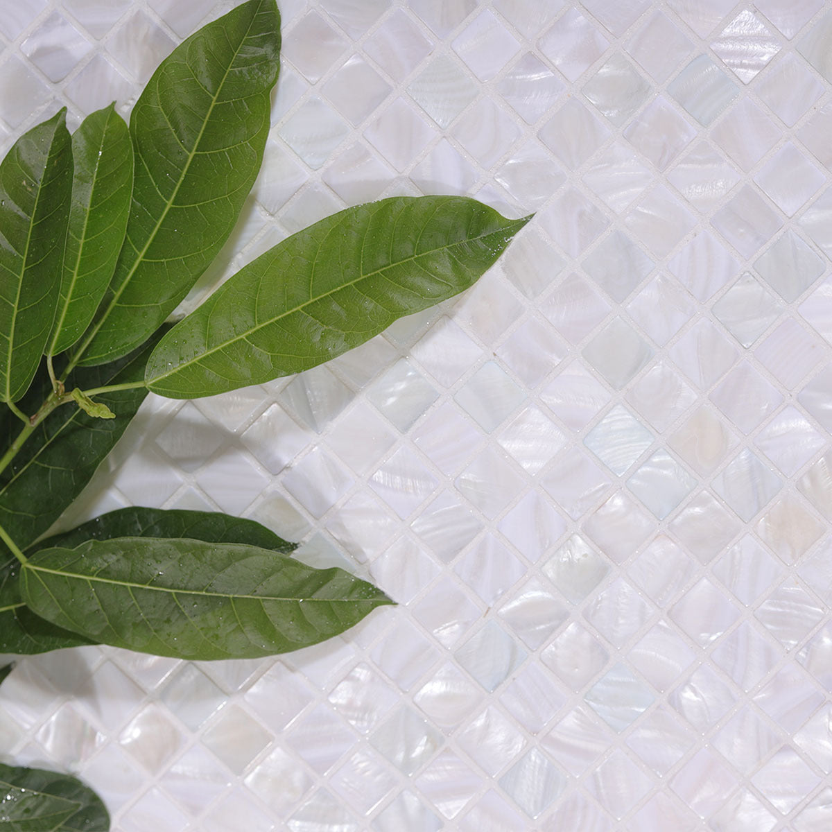 white pearl square tiles 