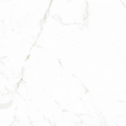 Calacatta Paonazzo Rectified Polished Porcelain Tiles