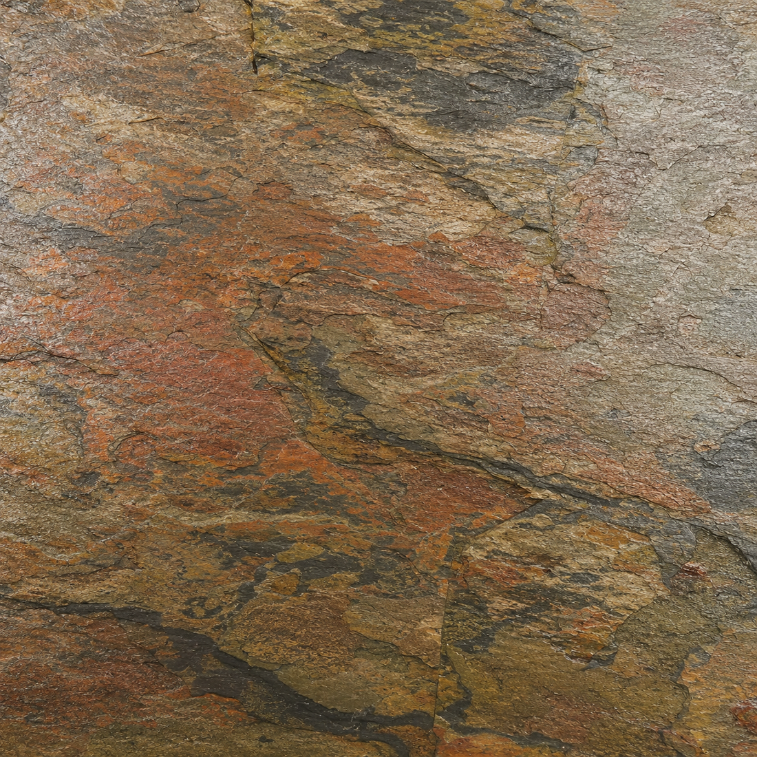 Close-up of multicolour riven slate tile showing natural autumn tones, layered texture and mineral variation.