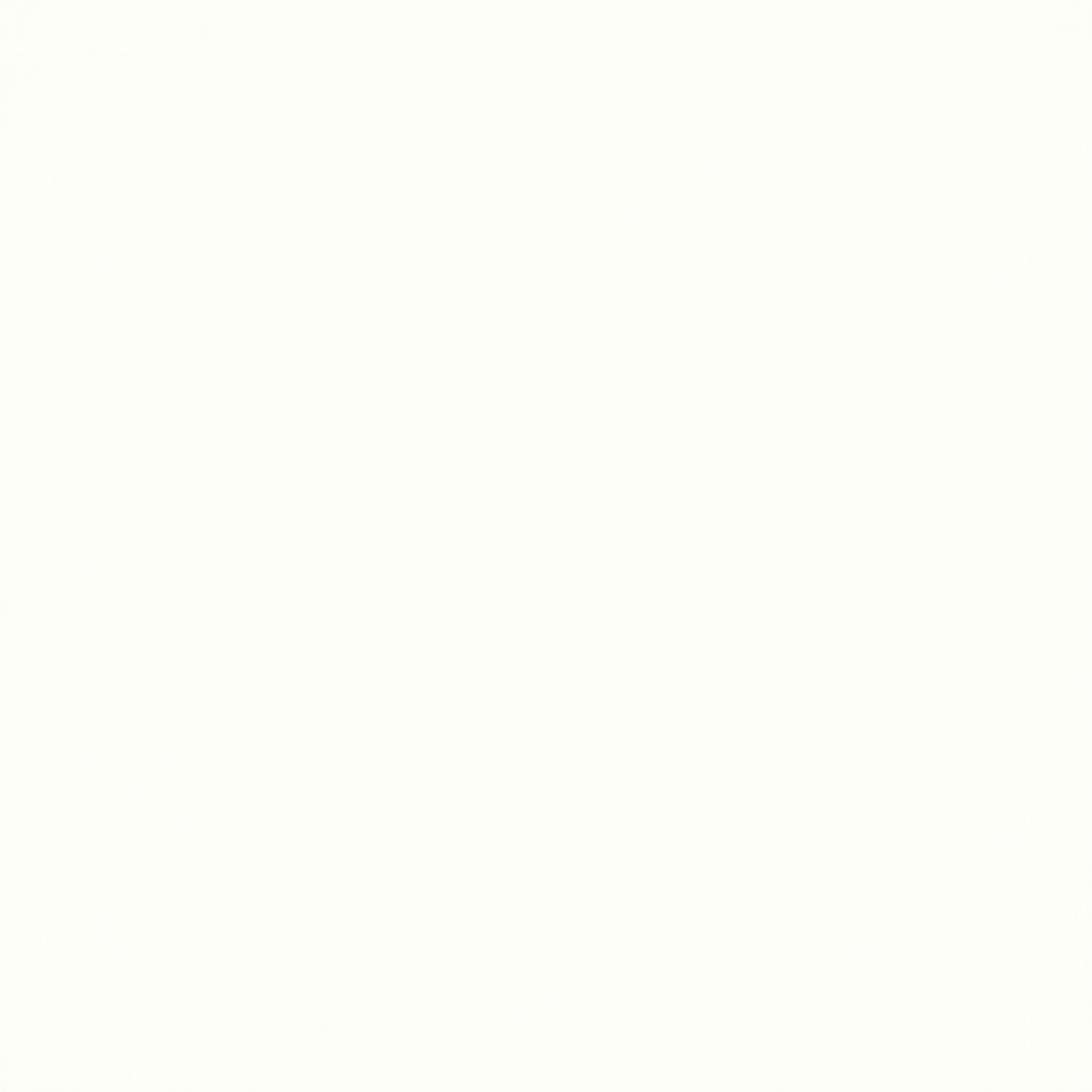 Extreme Matt White porcelain tile showing its plain white colour and soft matt finish