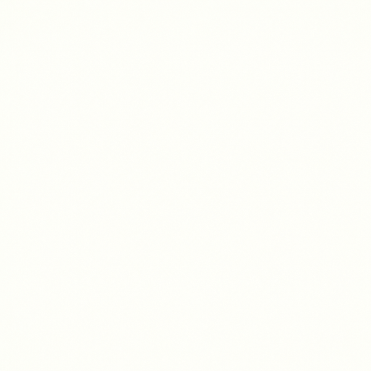 Extreme Matt White porcelain tile showing its plain white colour and soft matt finish