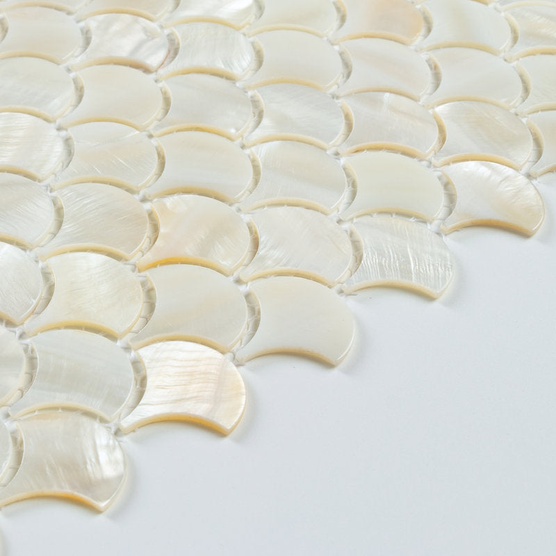 cream pearl shell mosaic tile