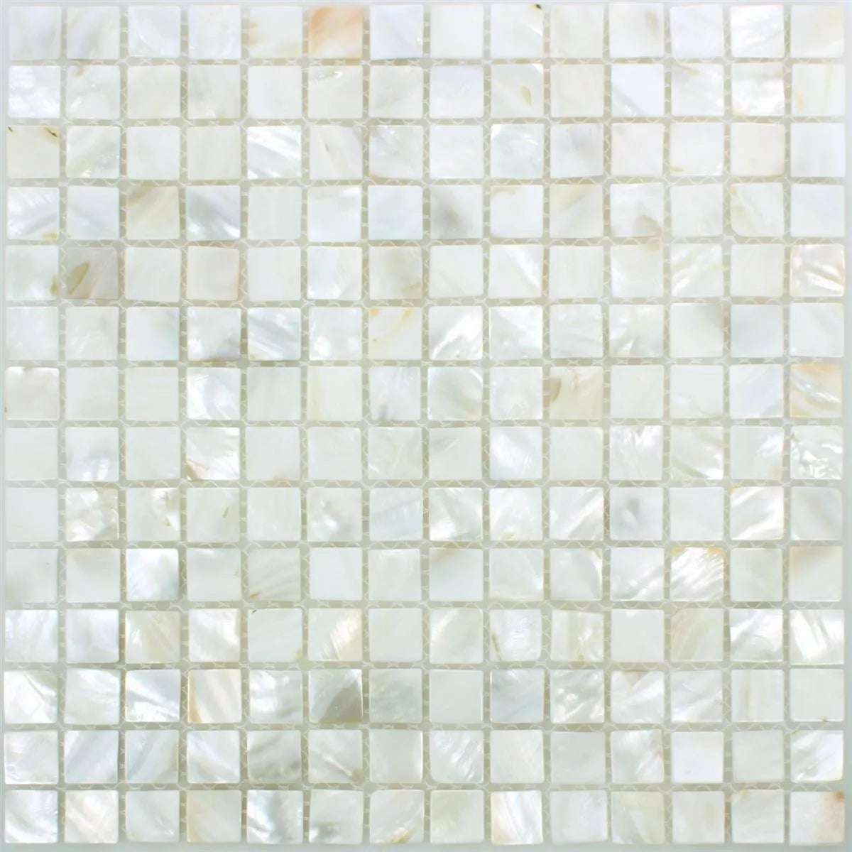 Mosaic Tiles Shell Kordon White Tile 305x305mm