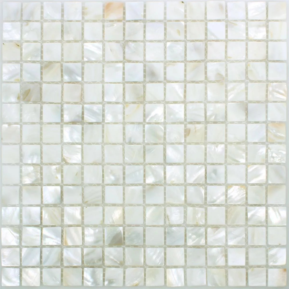 Mosaic Tiles Shell Kordon White Tile 305x305mm | Luxury Tiles UK
