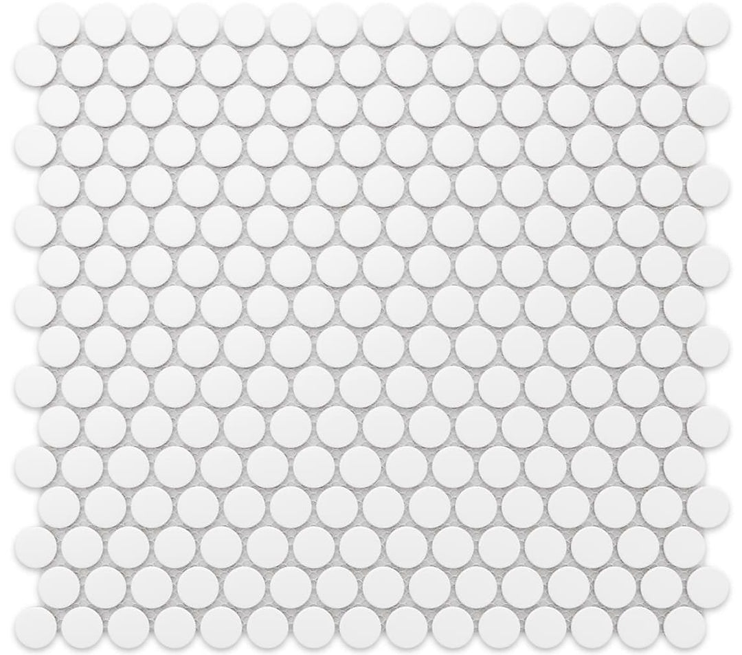 White penny mosaic 