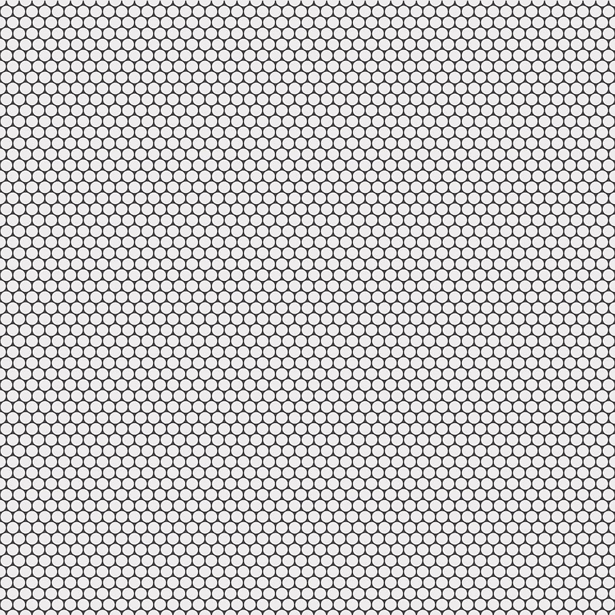 White penny dark grout 