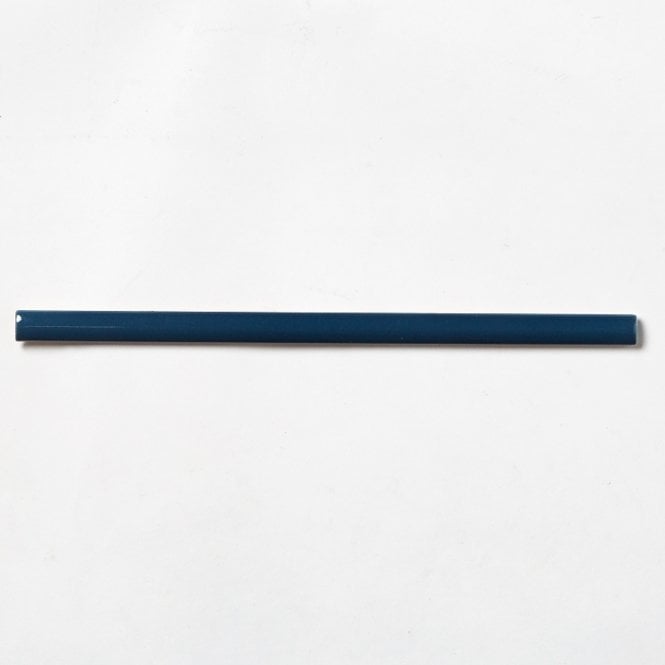 Blue skirting tiles 