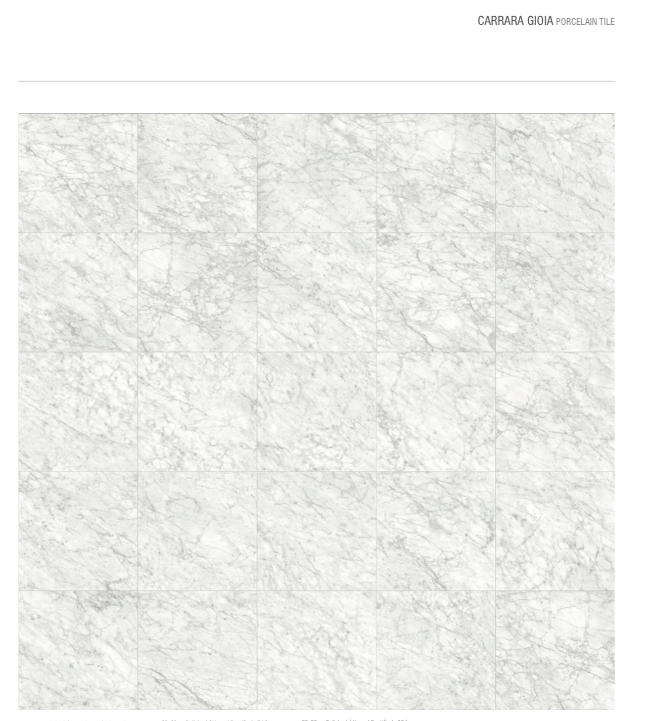 Carrara Gioia Rectified Polished Porcelain