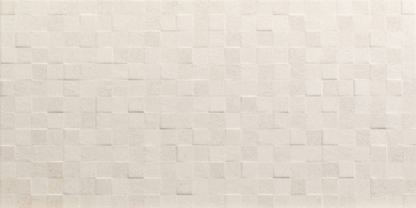 Textured White Décor 250x500mm Tile