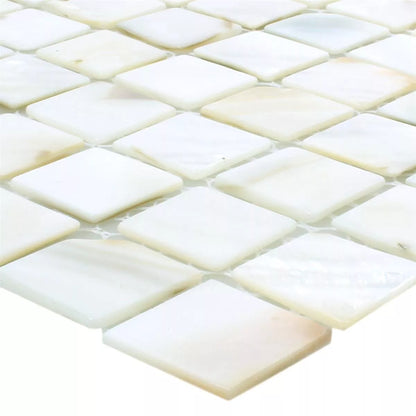 Mosaic Tiles Shell Kordon White Tile 305x305mm