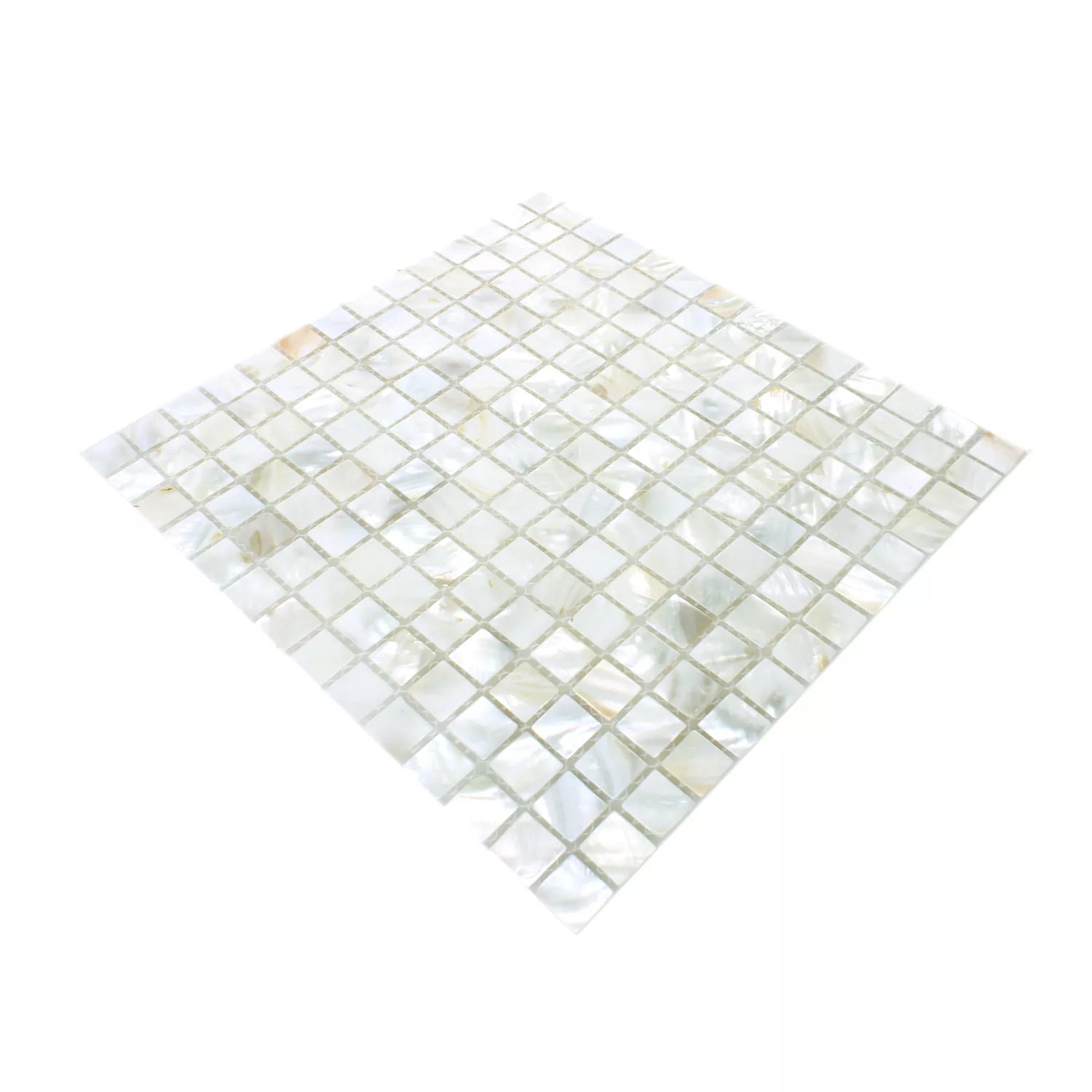 Mosaic Tiles Shell Kordon White Tile 305x305mm