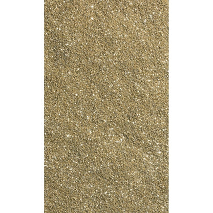 Sparkle Gold Glitter For Grout And Paint 100G