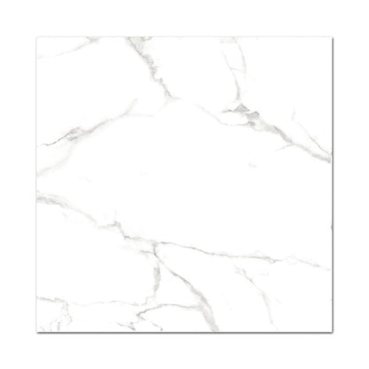 Carrara Marble Effect Honed 100x100cm